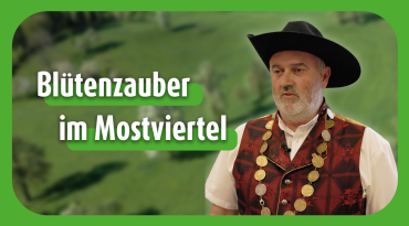 Thumbnail-Bild zum Video